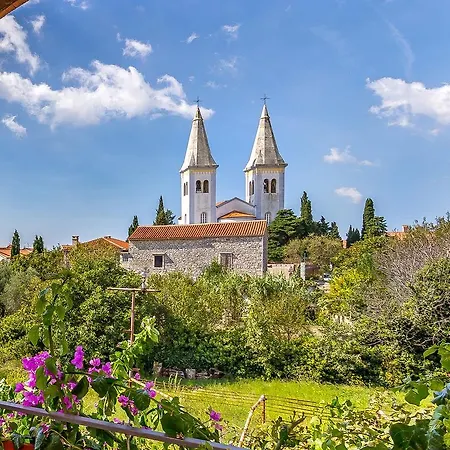 Ziskovic *