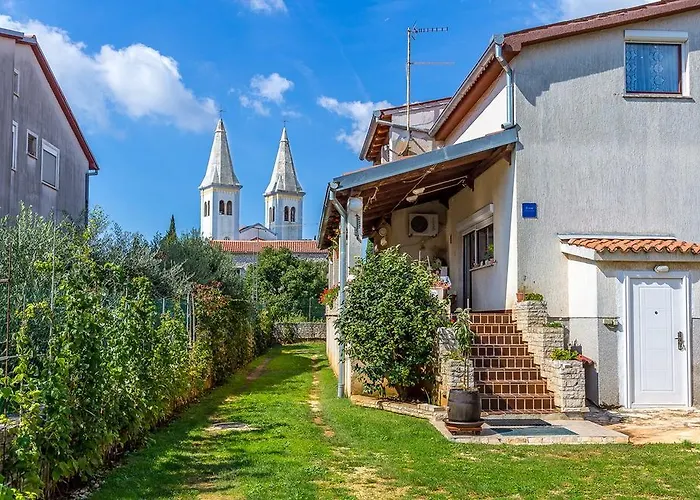 Ziskovic *