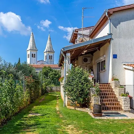 Ziskovic *
