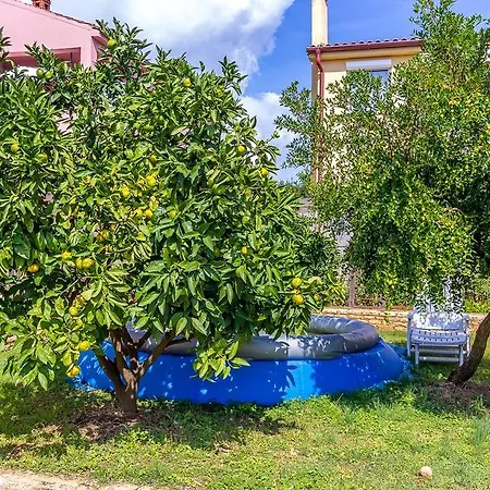 Ziskovic 아파트 *