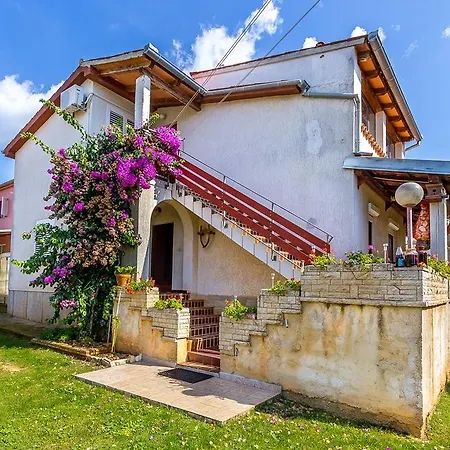 Branka Apartment
