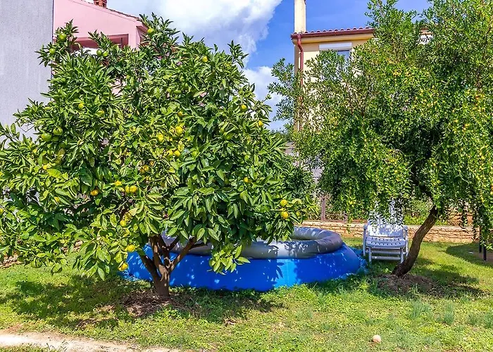 Ziskovic 아파트 *