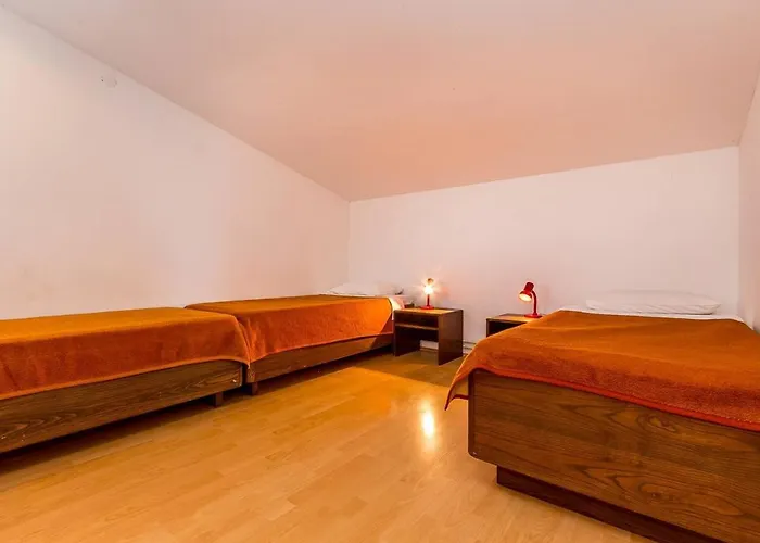 Ziskovic 아파트 *